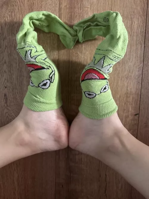Do you wanna play with my socks?