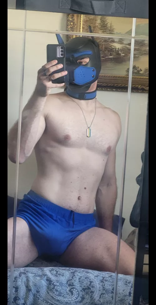 first pup pic 👉👈