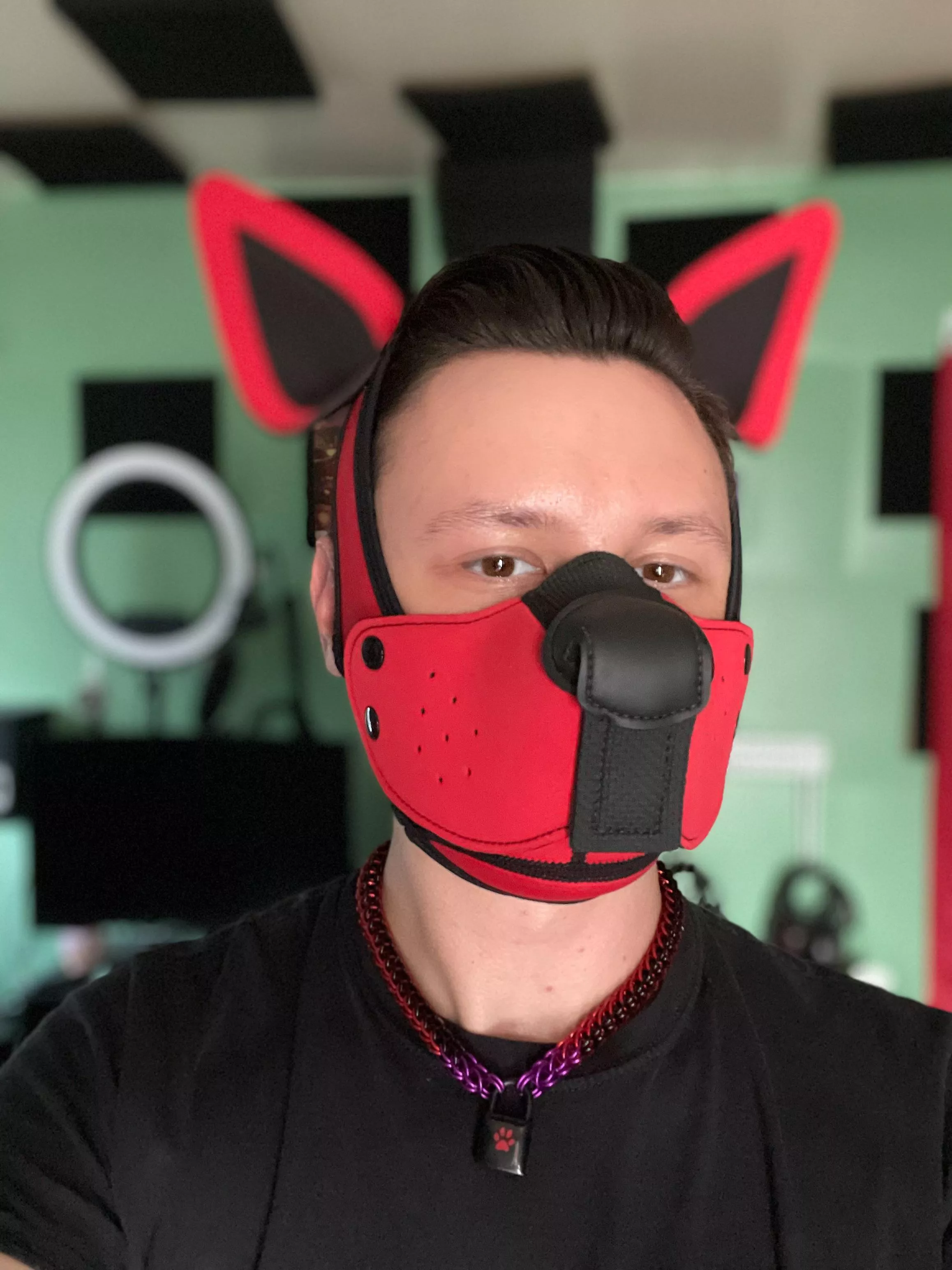 Got a new lock for my collar!