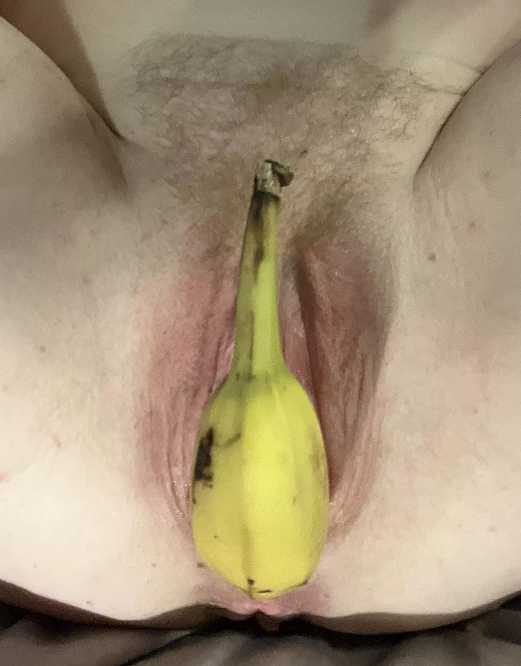 I hear you silly monkeys like bananas 🤪🍌