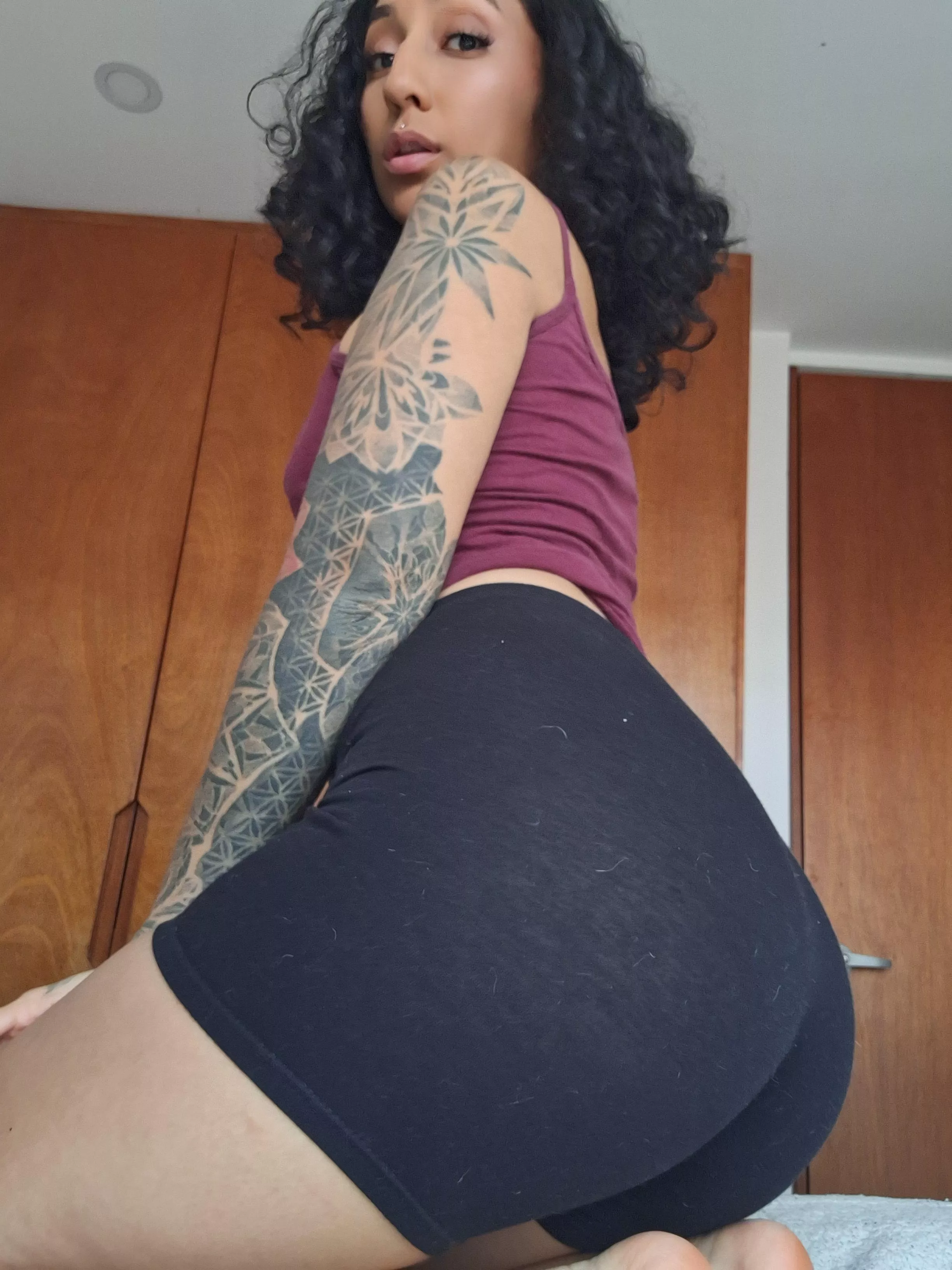 I just wanted to say hello 