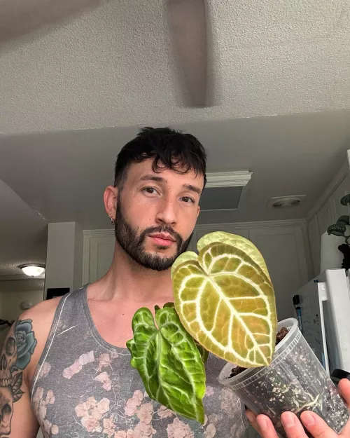 I’m a mixed boy, what mix do you think I am 😉