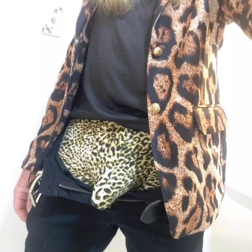 I'm just wild about animal prints