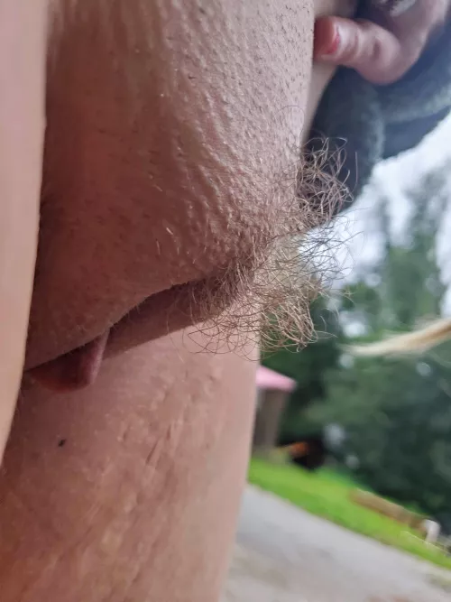 Morning mound ⛰️ 