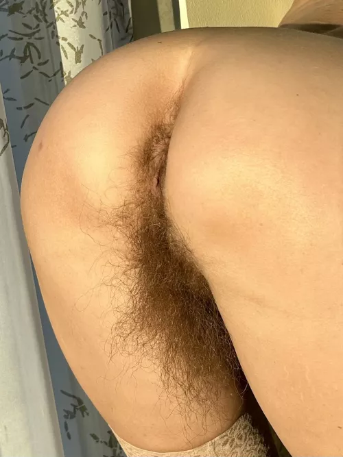 My back bus[h] is getting huge! 