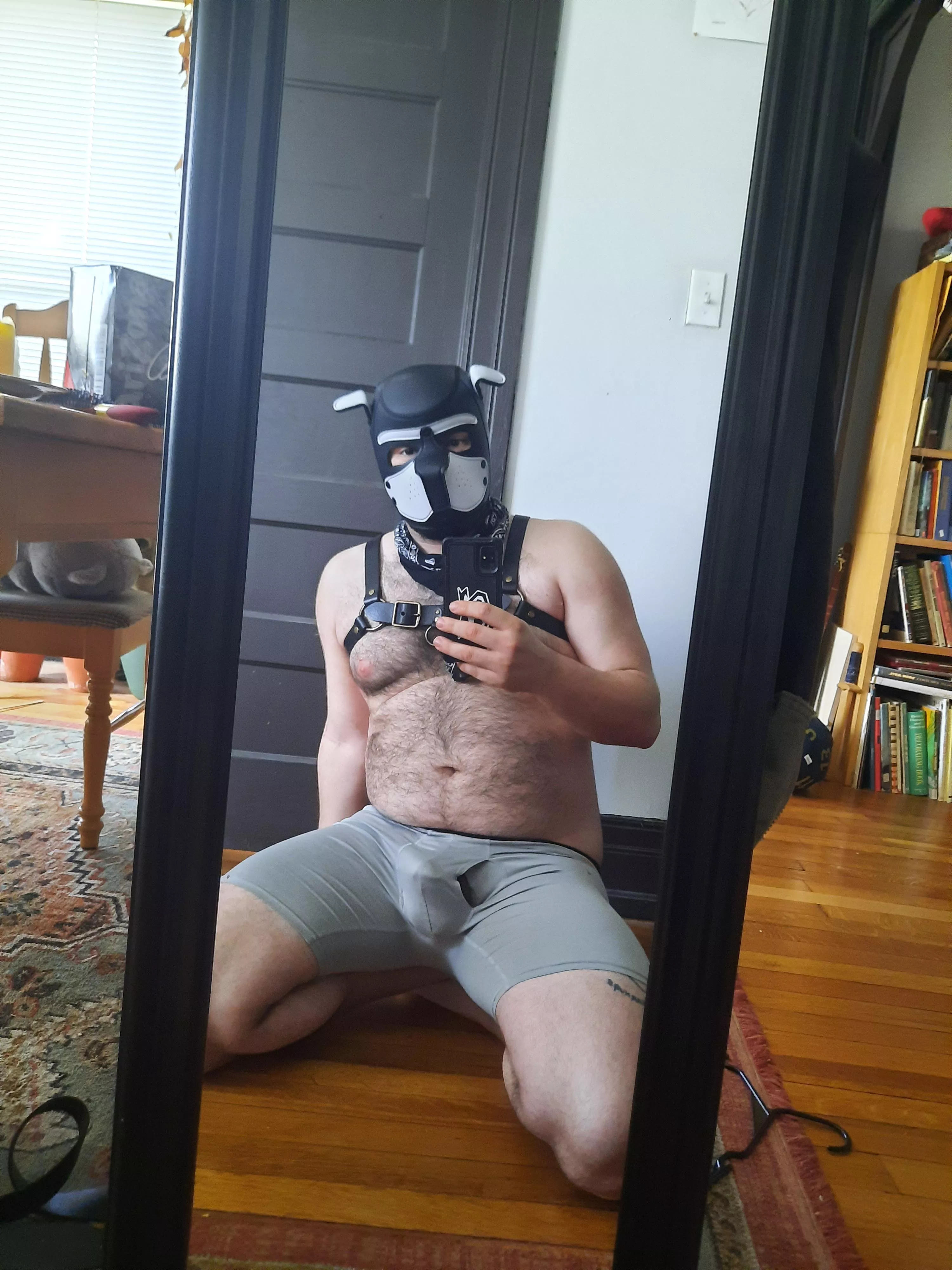 My name is Rowdy! Wanna know somethin' cool about me?