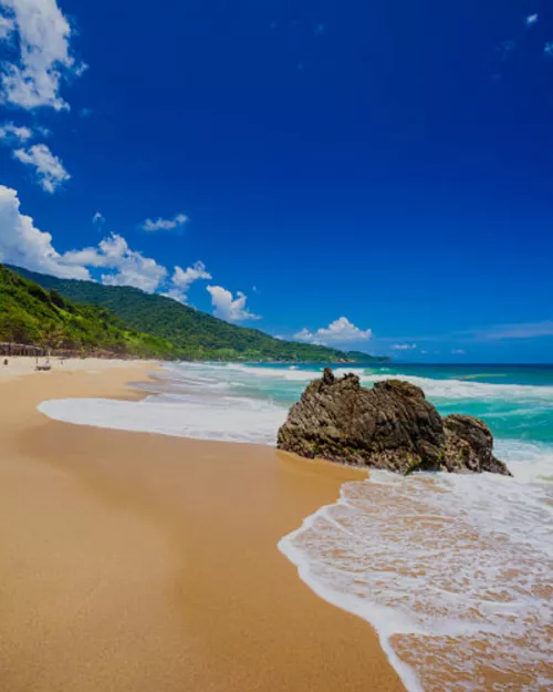 Tropical white sand beach on a secluded Caribbean island