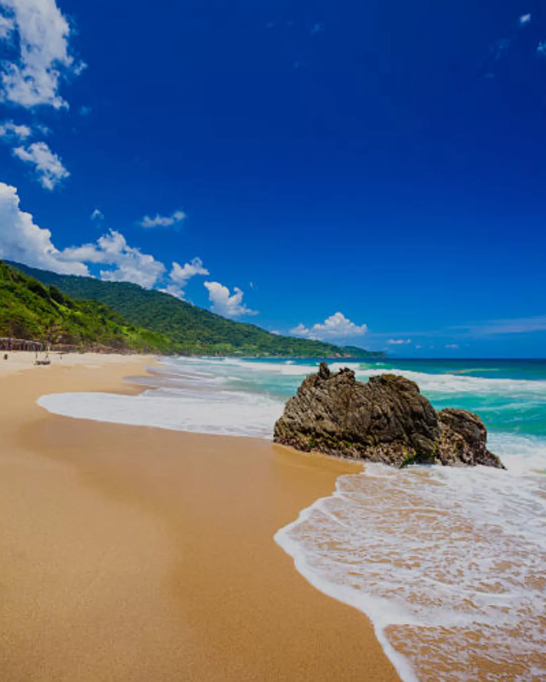 Tropical white sand beach on a secluded Caribbean island