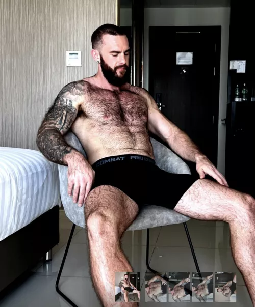 Bear in training, in briefs