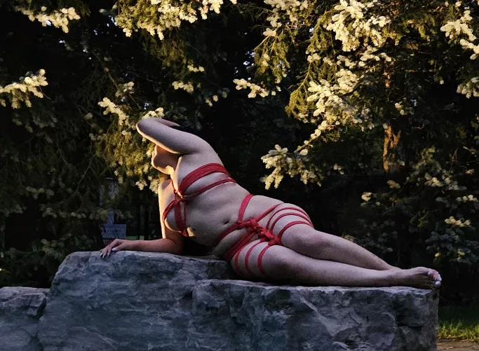 I caught a mermaid in my mermaid