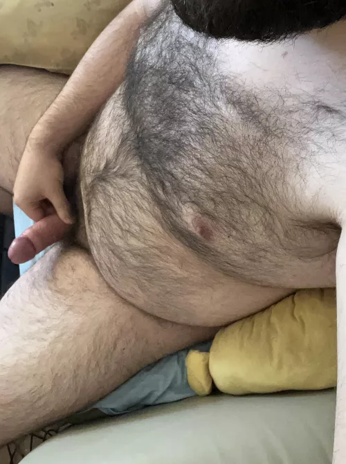 Just a hairy bear on the couch