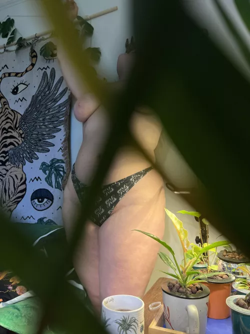 POV you're my ponytail palm plant that hardly gets watered and has to watch my shenanigans all the time. Including my 