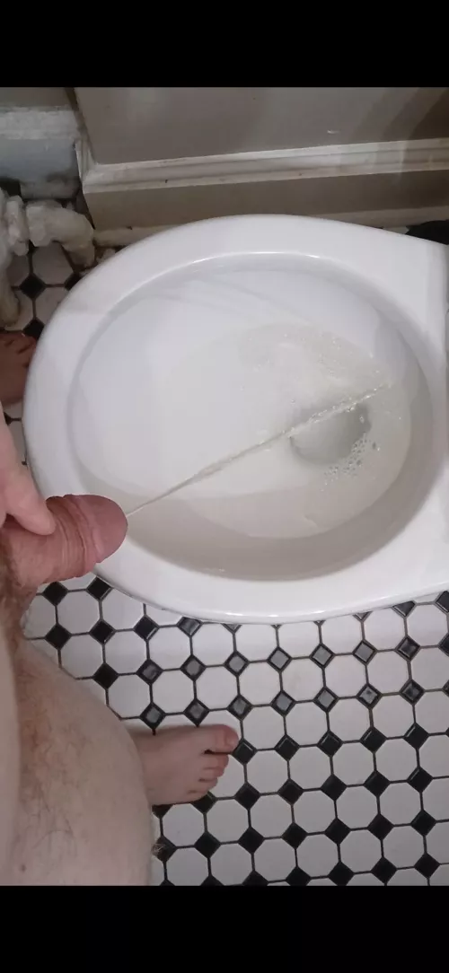 Say Hello To Your Master