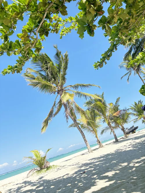 Diani - Kenya  😍