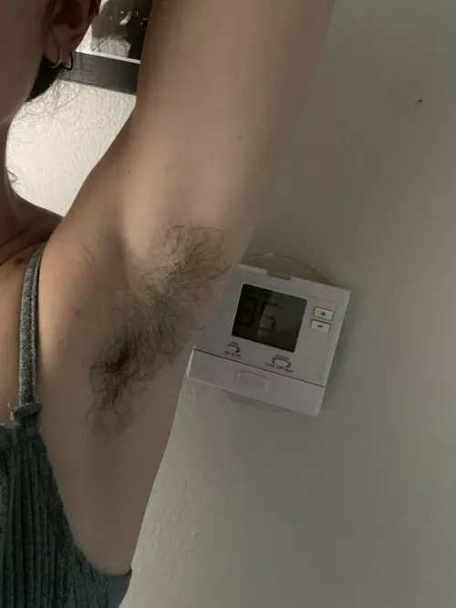 No AC is no problem with these sweet sweat catchers 