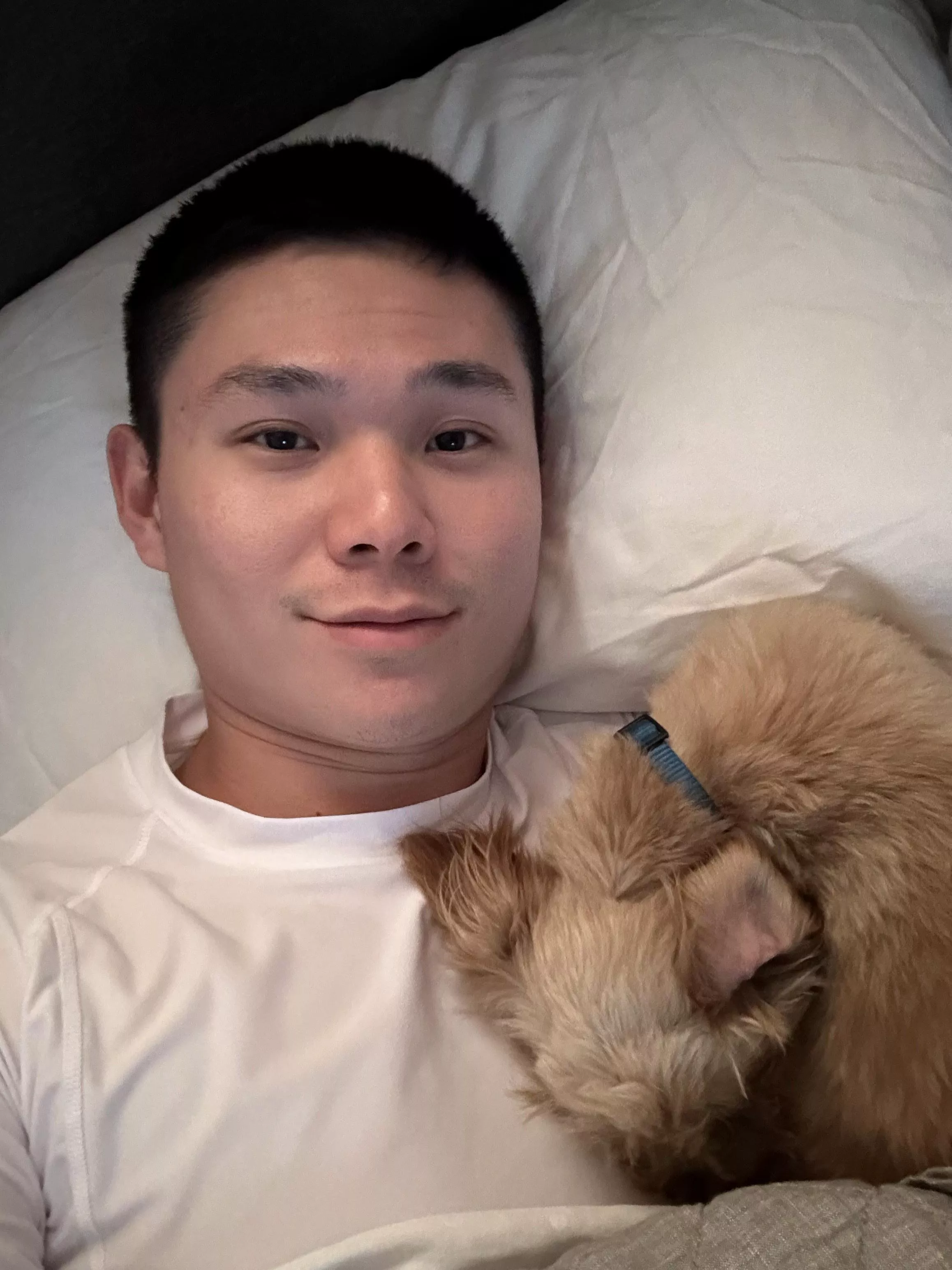 Not much into selfies but the puppy is just too cute  Not much into selfies but the puppy is just too cute