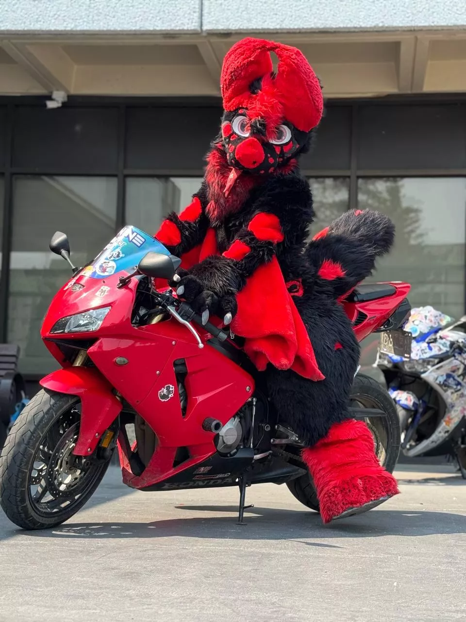 Squeek! Showing of my bat fursuit