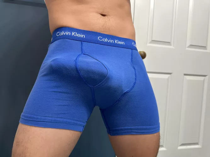 [25] Should I let him out??