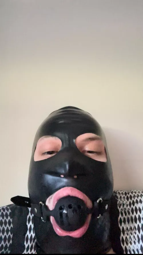 Do you want to give me orders?