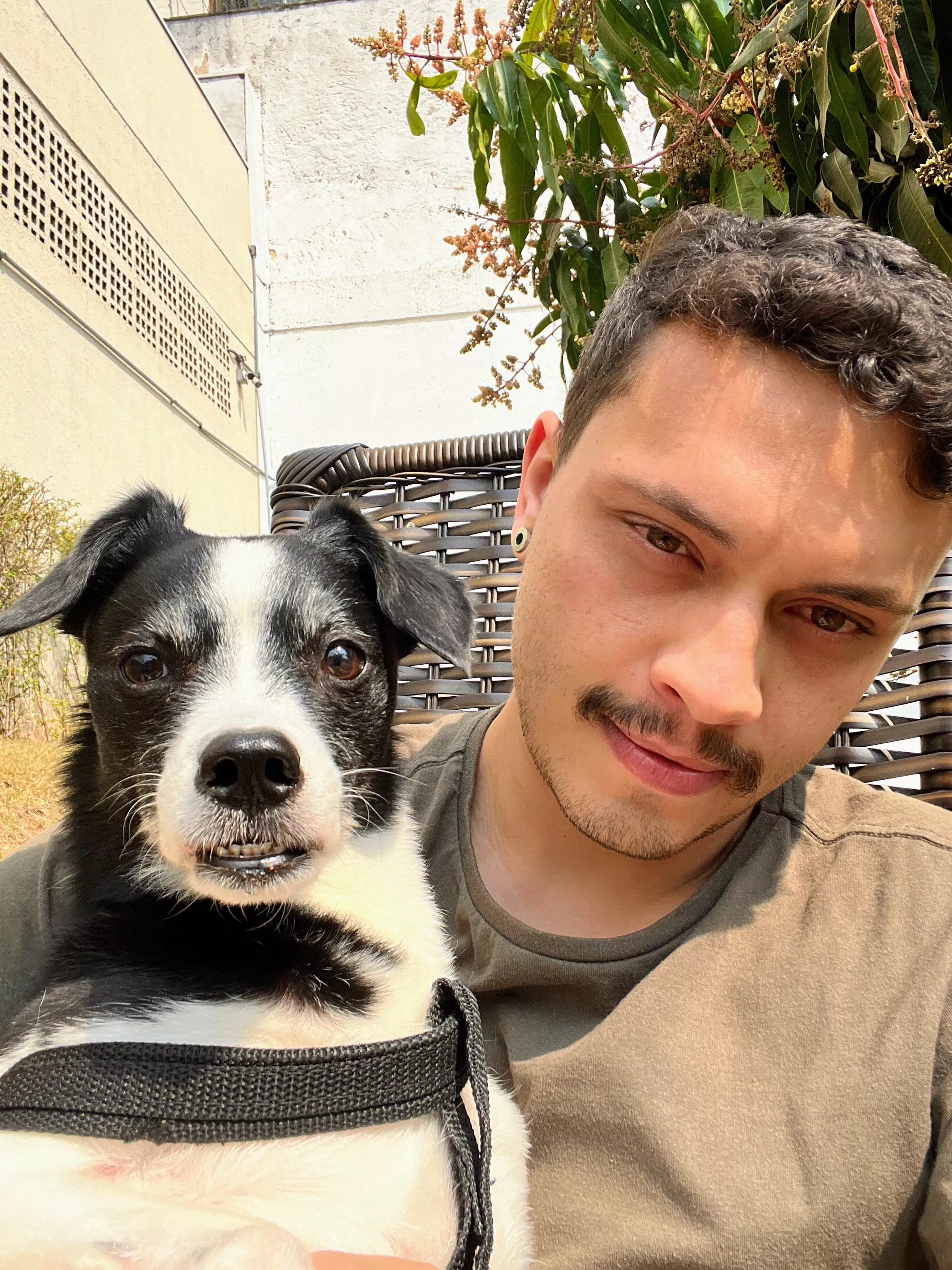 Hey Gaymers, do you like dogs? Hey Gaymers, do you like dogs?