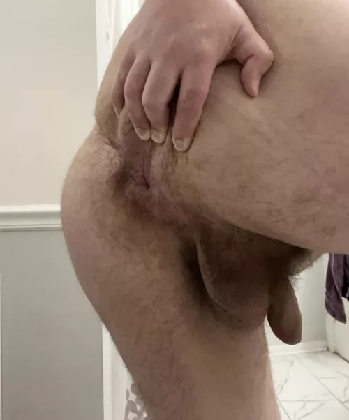 Is my hole hairy enough? (25)