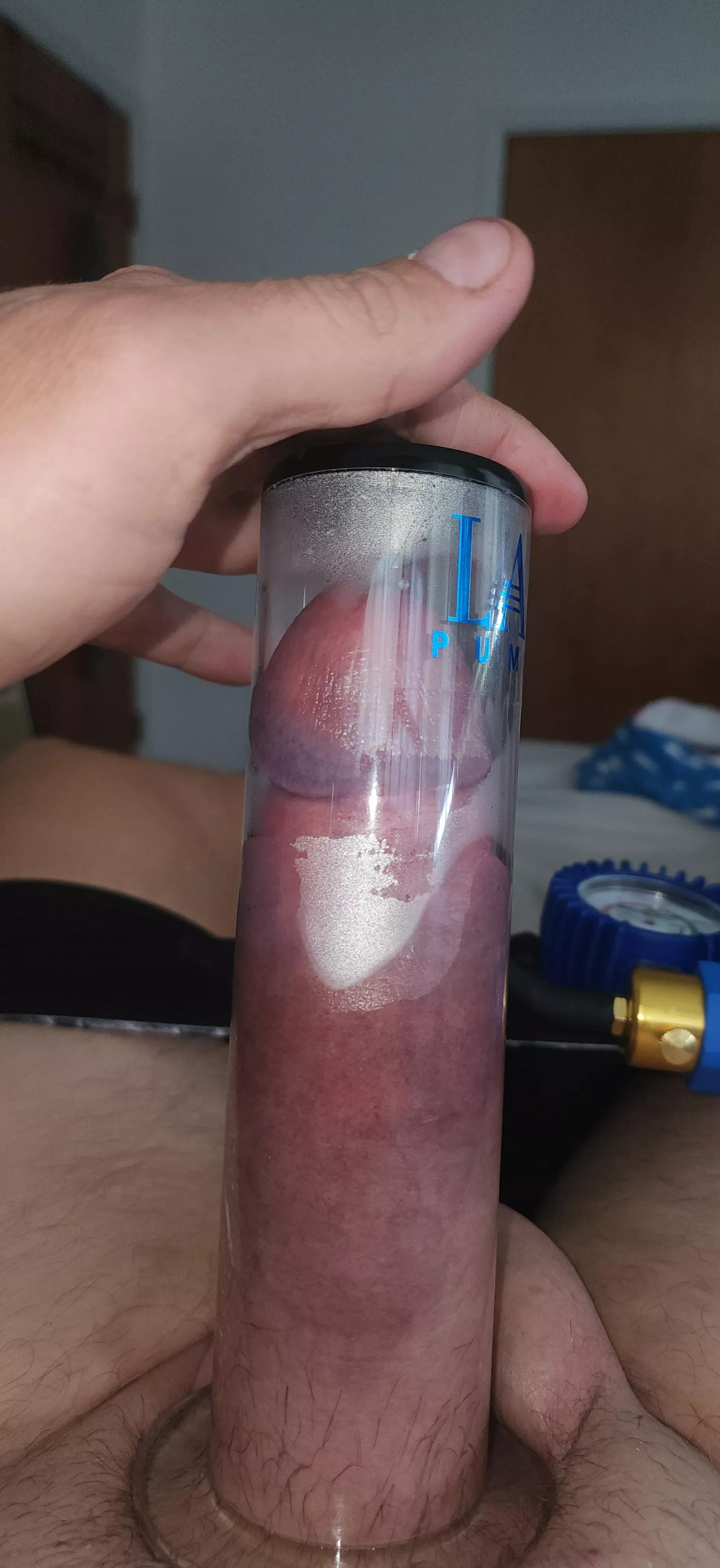 My lapump arrived today!