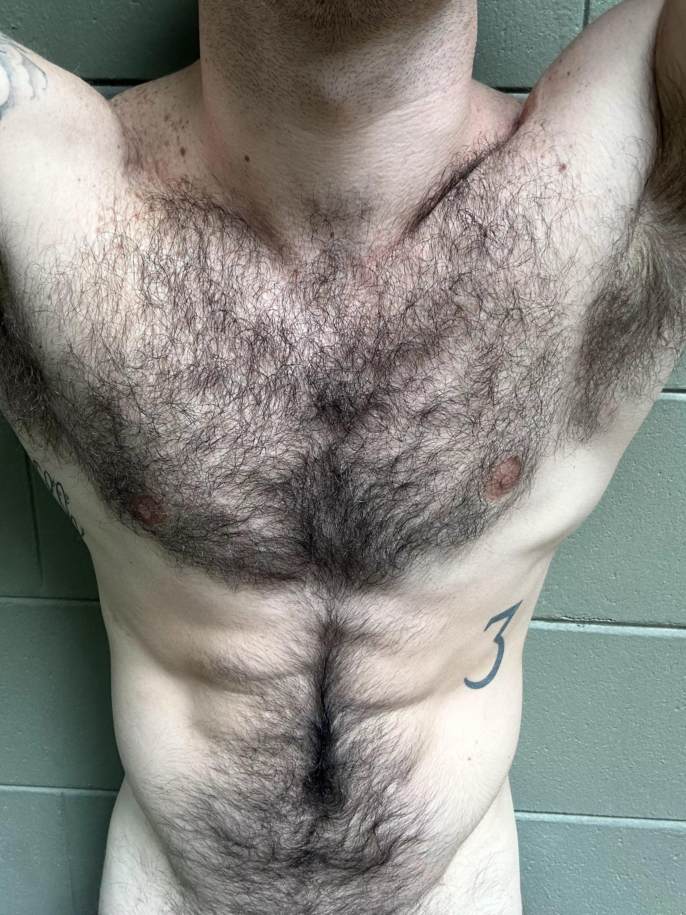 Pin my arms against the wall so you can have your way with them 🐽