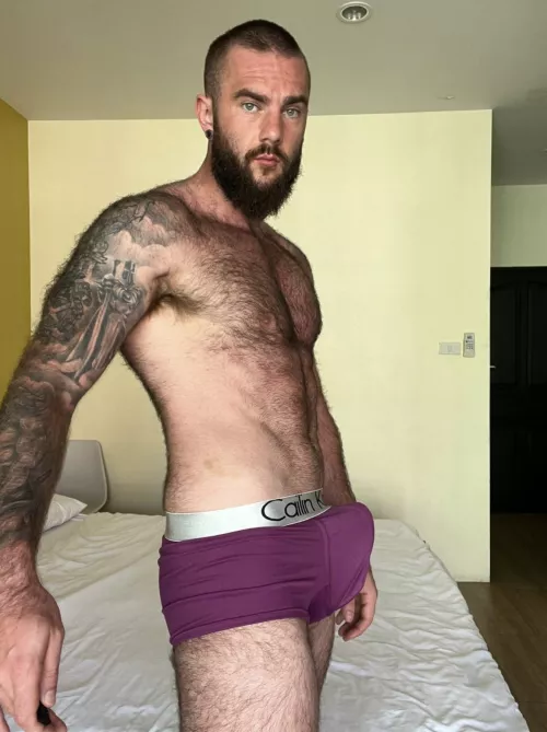 would you let me dominate you?