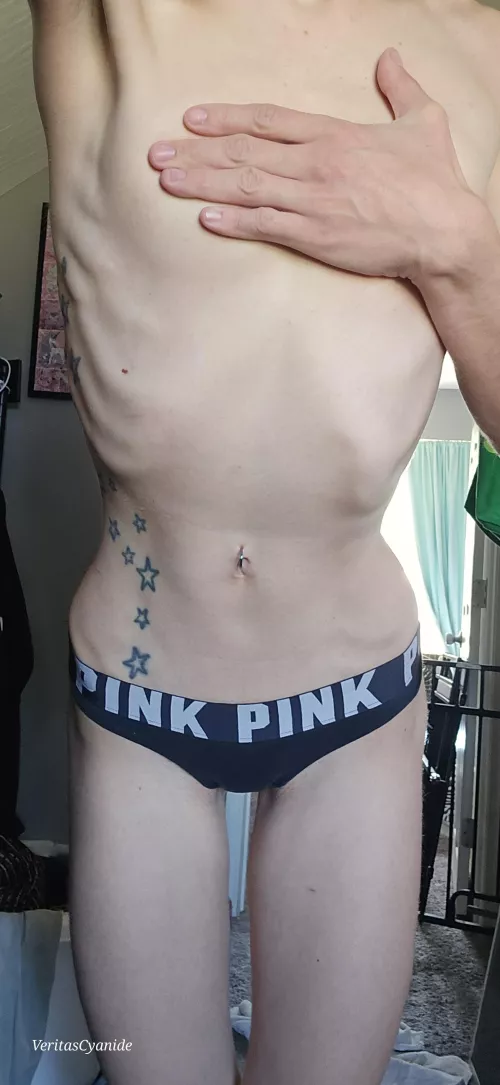 Happy hump day humans 