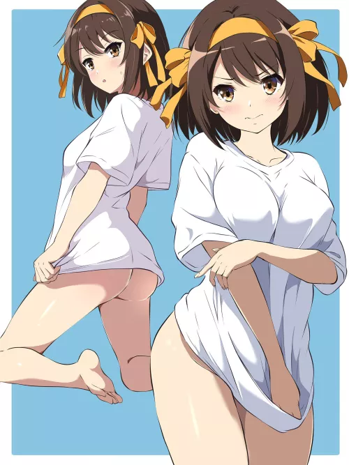 Haruhi in just a shirt [The Melancholy of Haruhi Suzumiya] (borgbattlerT)