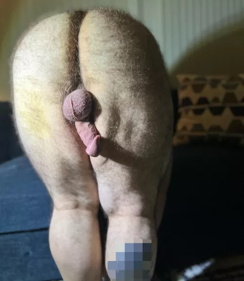 I mean, it is hump day