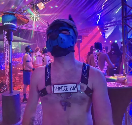 Spending my birthday weekend as a service pup! 