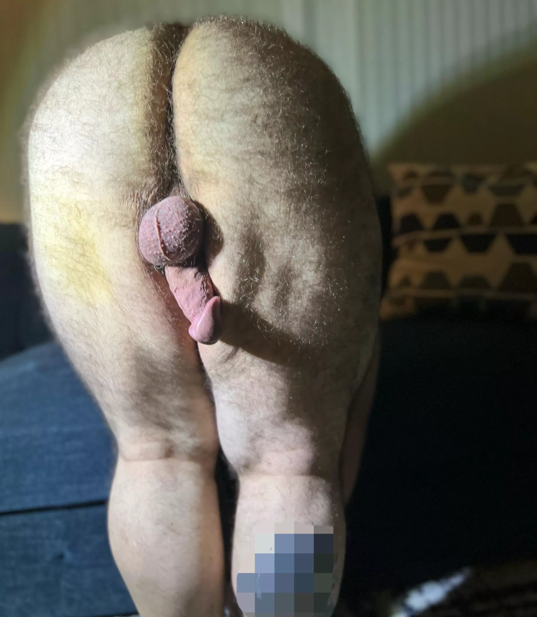 (40) I mean, it is hump day