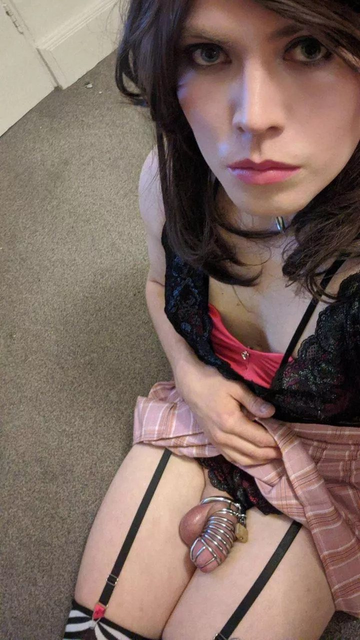 You were made into a girl and locked in a chastity belt. But you dreamed about it