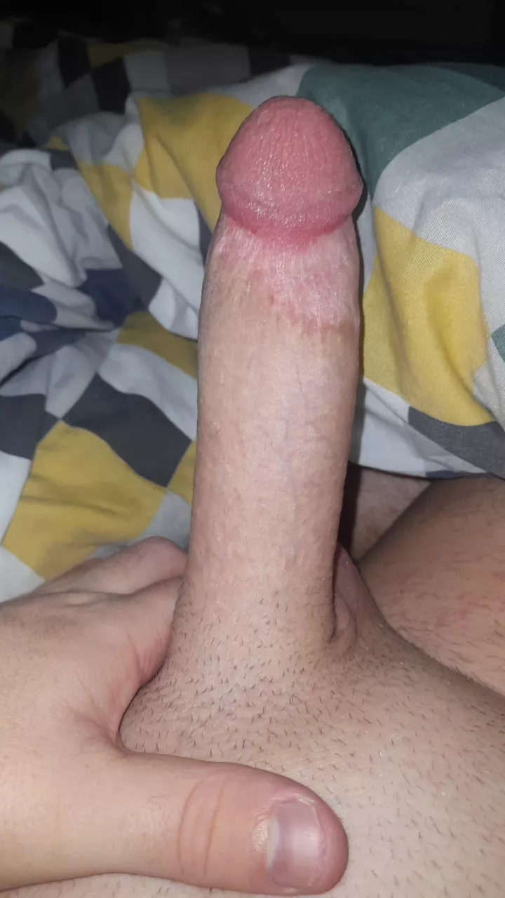 (24) Irish. Snap Ryan16324 