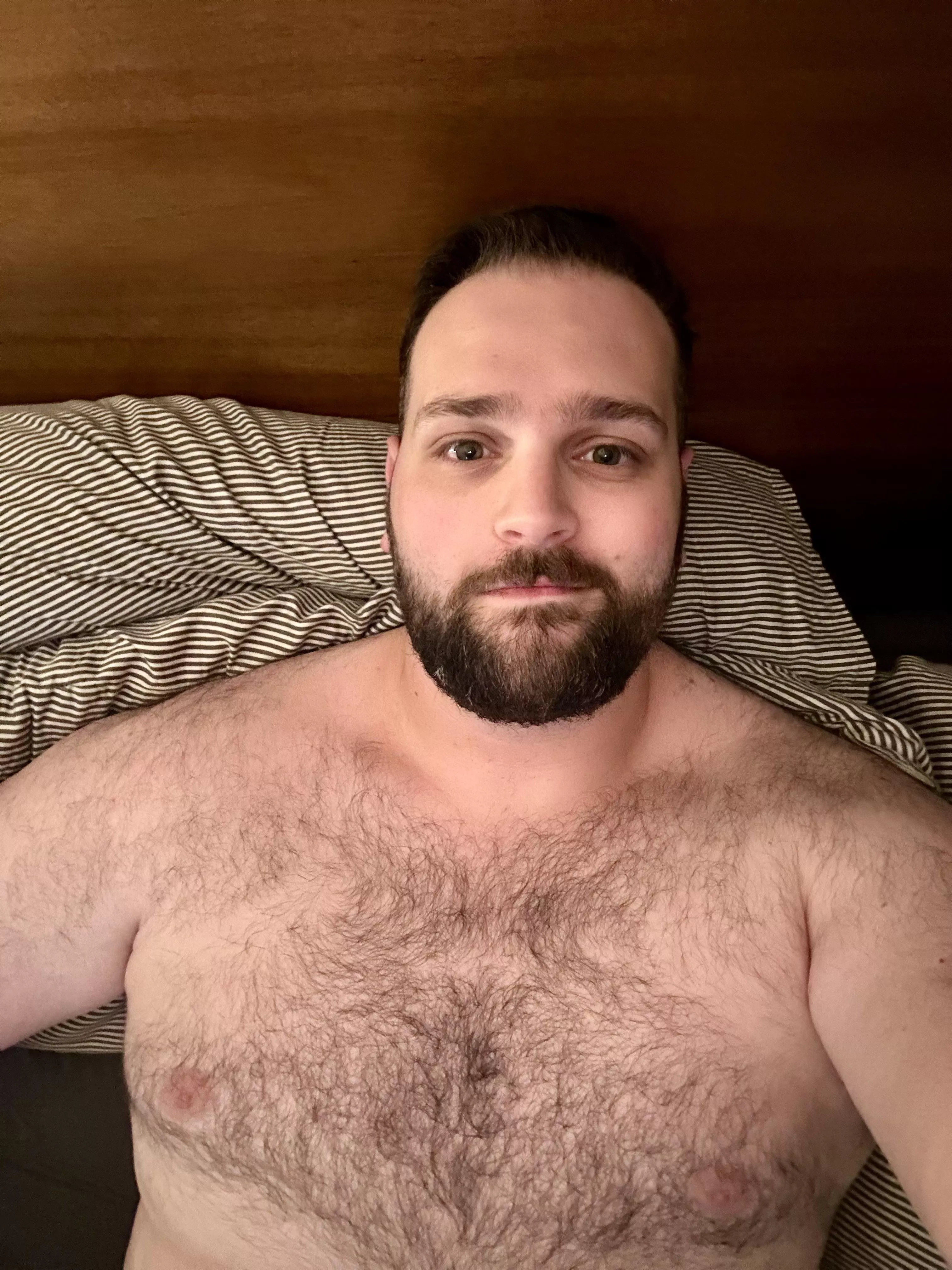 29 beefy hairy cub looking for pic trade, chat, and more. into all types of guys, but hairy dudes, verbal dudes, & face pics get my attention quickly. hit me up with age @nickel-oaken