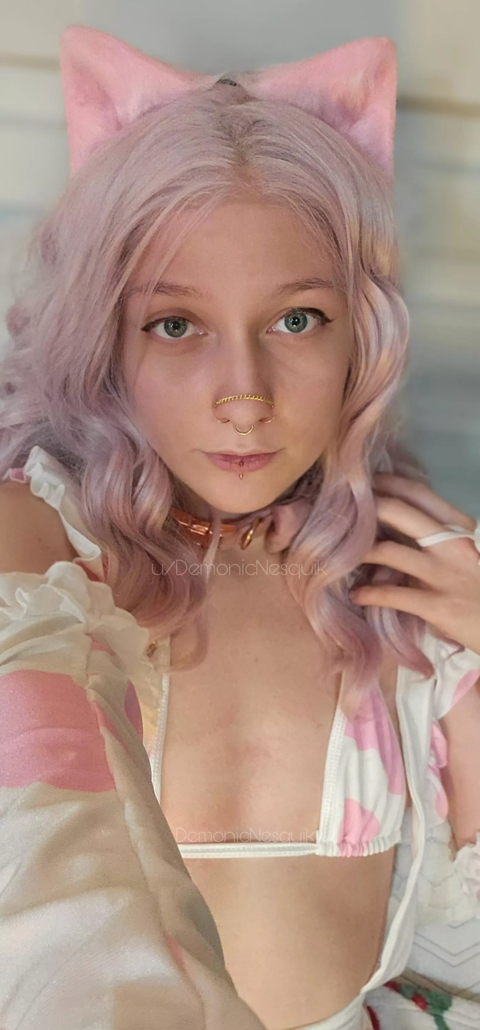 Catgirl maid at your service