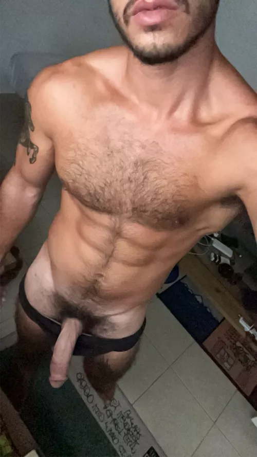 Hung and ready to breed
