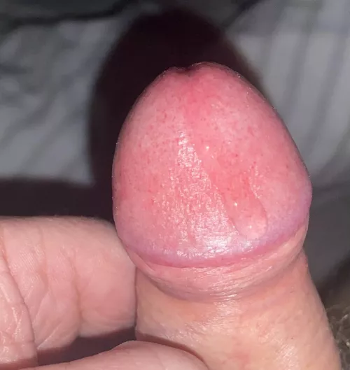 It’s starting all over again - just love the taste 