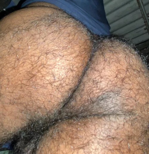 my true hairy ass