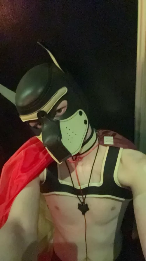 New puppy here, proud of it 🔥