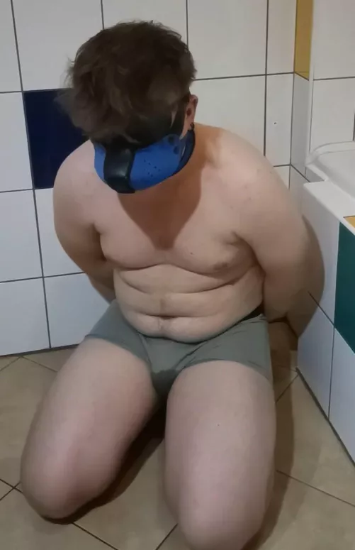 tied up pup couldn't hold it in 💦