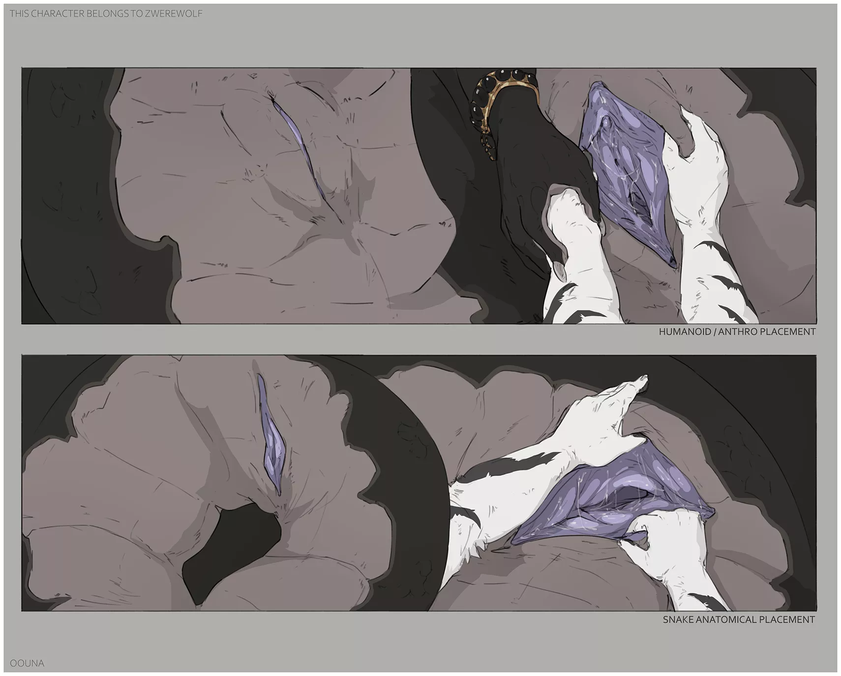 Anatomically accurate snake bits [FM] (Oouna)