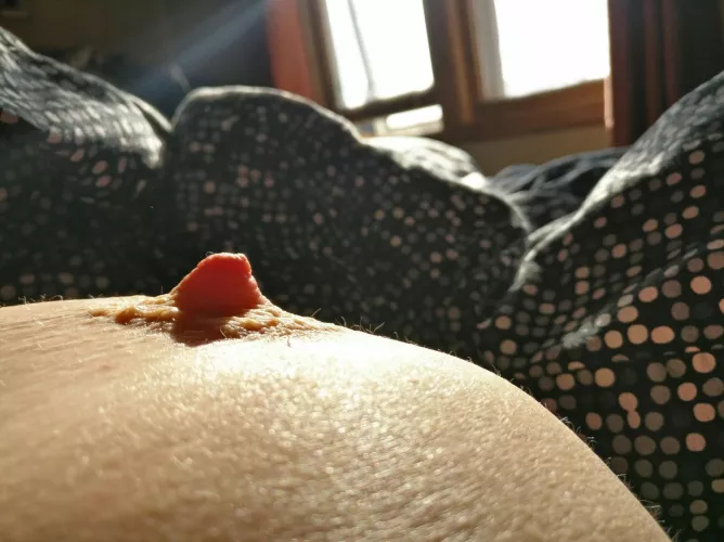 Catching last light with stoic presence. 