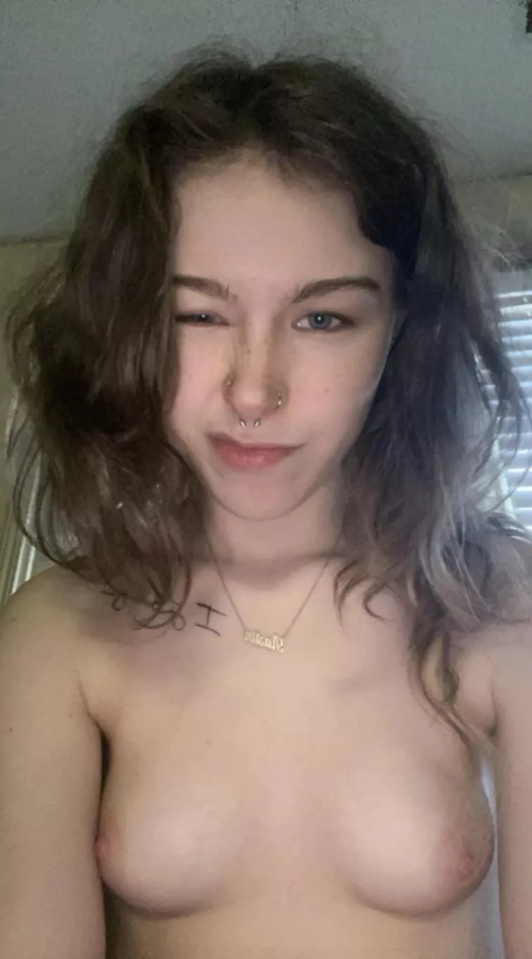 Does the perfect wife exist 