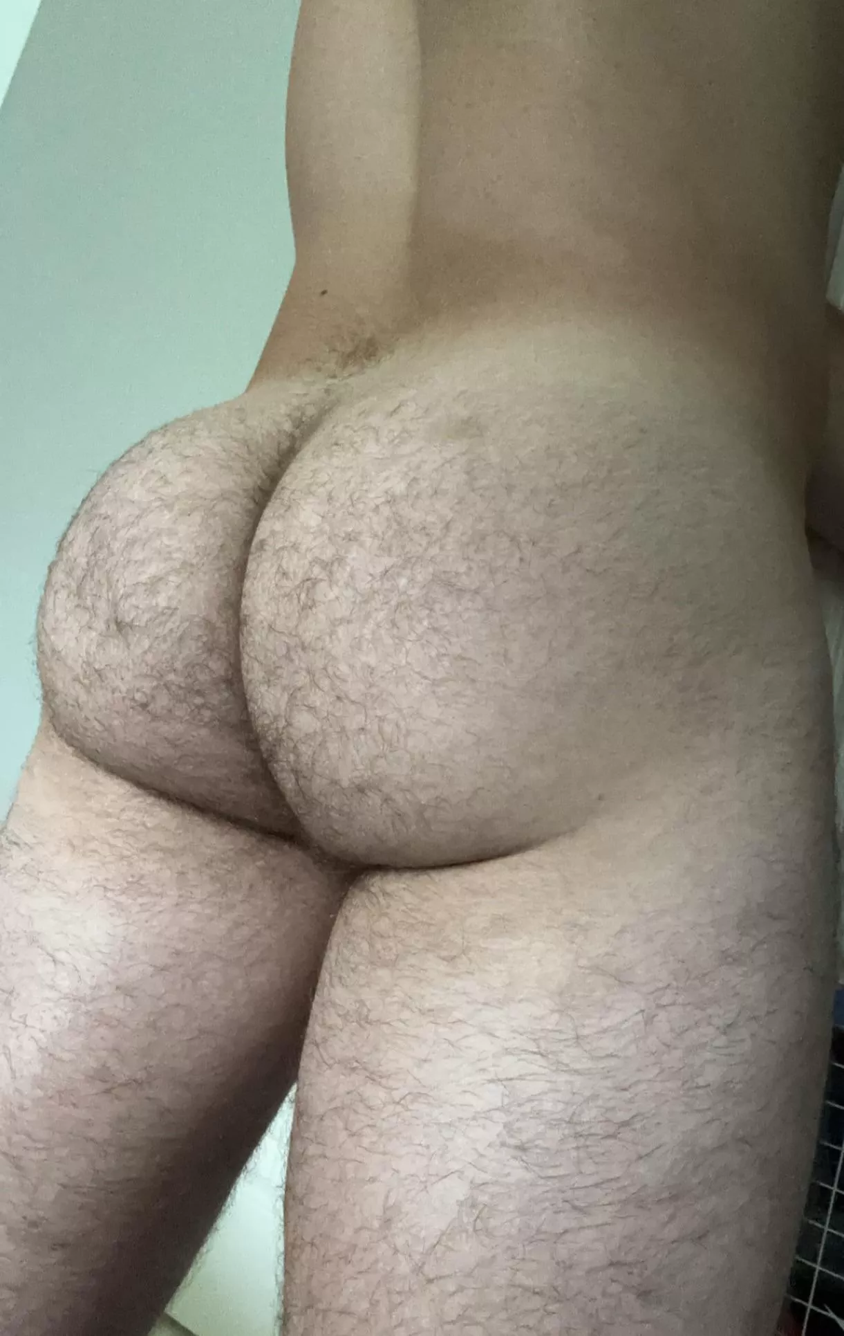 Feelin' heavy after leg day [24 usa]