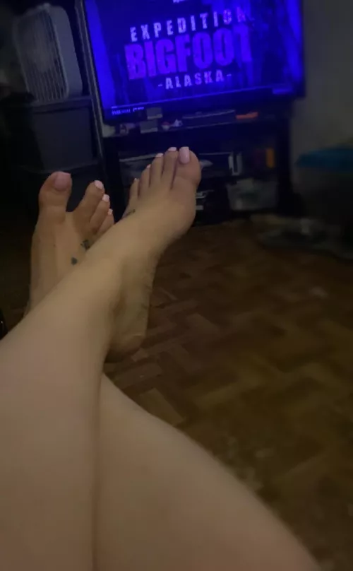 How about you take care of them while I watch people try and find the hide and seek champion 🏆🤪