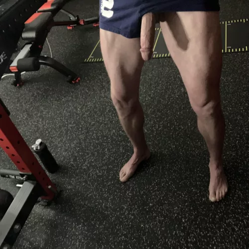 How to spot alphas in the gym