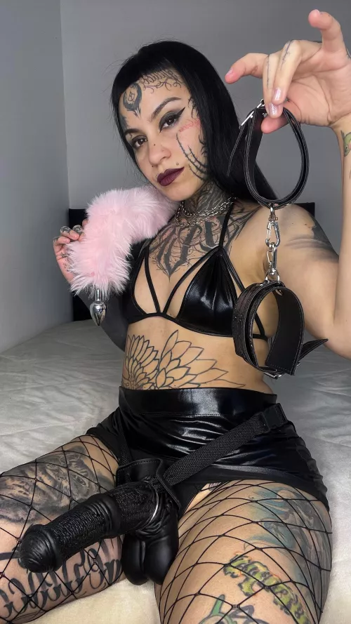 I know that what you see excites you a lot