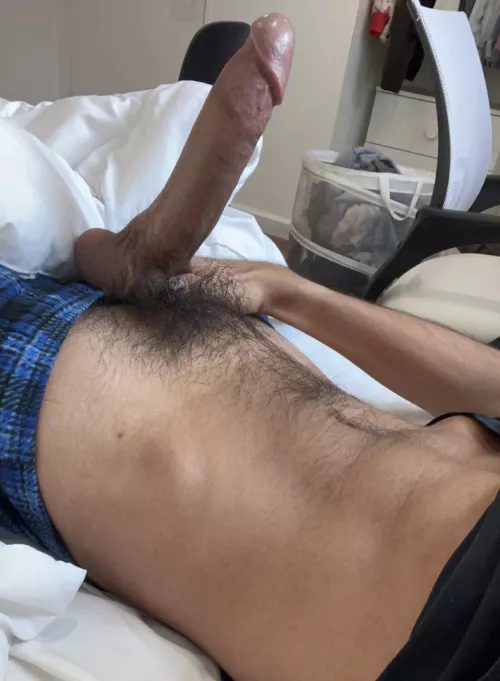 My favorite Pokemon type is dragon. Can you tell?